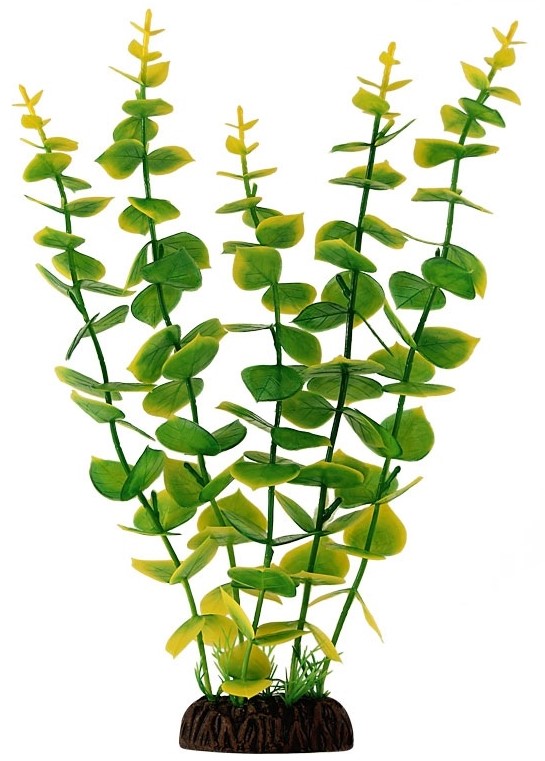 Растение 2962 "Бакопа/Хедизарум" зелен., 300мм, (пакет), Laguna