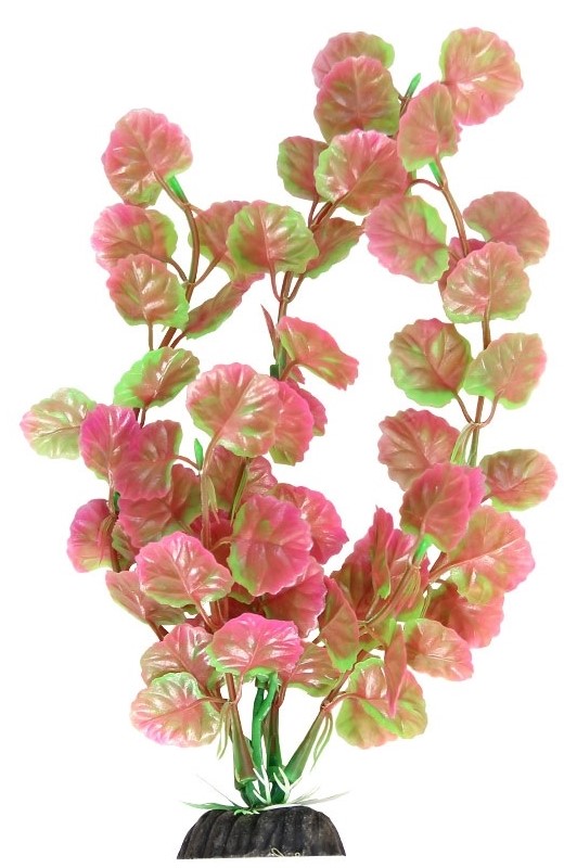 Растение 1036LD "Щитолистник" розово-зеленый, 400мм, (пакет), Laguna