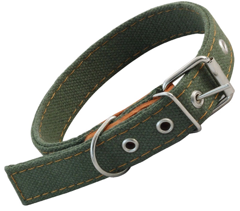 Ошейник брезентовый двойной, 2,5*53см