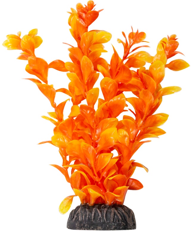 Растение "Людвигия" ярко-оранжевая, 200мм