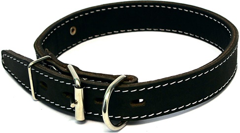 Ошейник кожаный двойной с кольцом перед пряжкой ширина 30 мм, обхват шеи от 44 до 53 см
