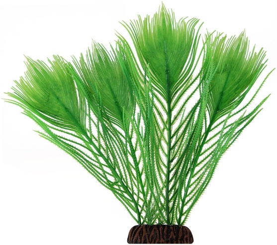 Растение "Эгерия" зеленая, 250мм, Laguna