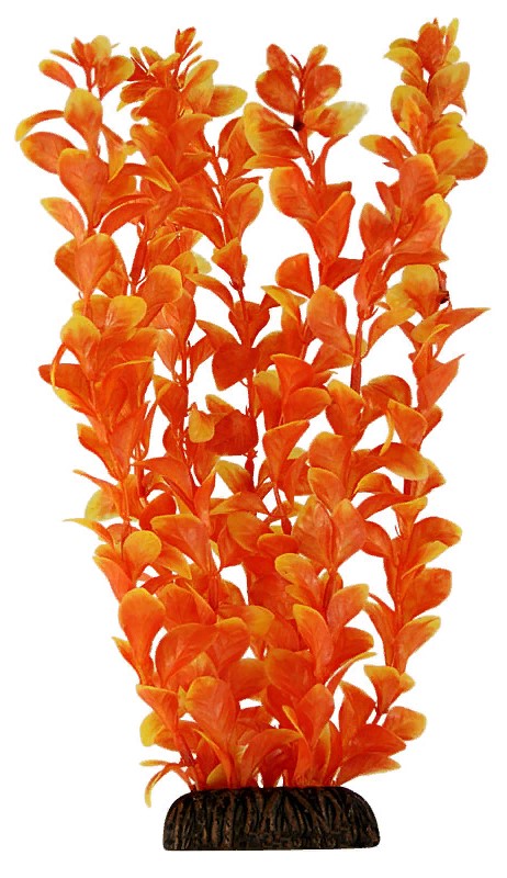 Растение "Людвигия" оранжевая, 300мм, Laguna
