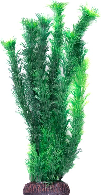 Растение 1065LD "Амбулия" зеленая, 300мм, (пакет), Laguna
