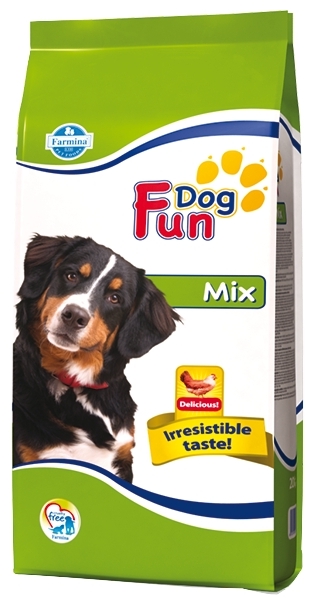 Fun Dog MIX