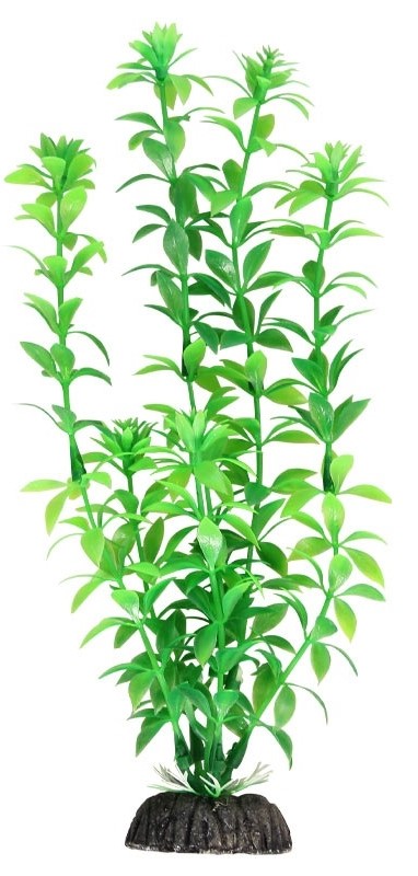 Растение 1049LD "Гемиантус" зеленый, 300мм, (пакет), Laguna