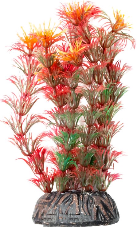 Растение "Амбулия" красная, 100мм