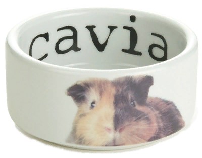 Beeztees 801710 Миска д/морской свинки керамическая 10*4см