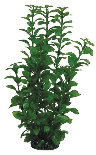 Растение "Людвигия" зеленая, 300мм, Laguna	