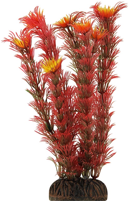 Растение 1999 "Амбулия" красная, 200мм, (пакет)
