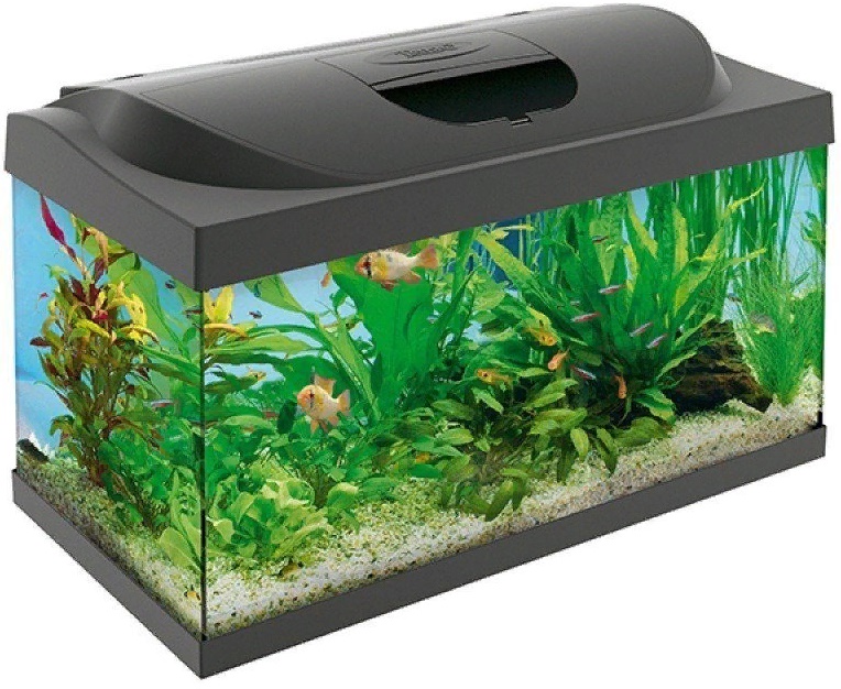 Радиатор газ 67. Газ 67 3. Л 54. Испытатель л2-54. Трактор т-38 лтз.