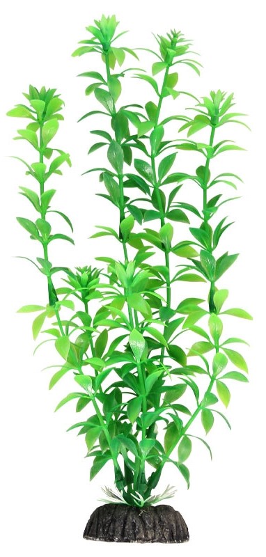 Растение 1048LD "Гемиантус" зеленый, 200мм, (пакет), Laguna