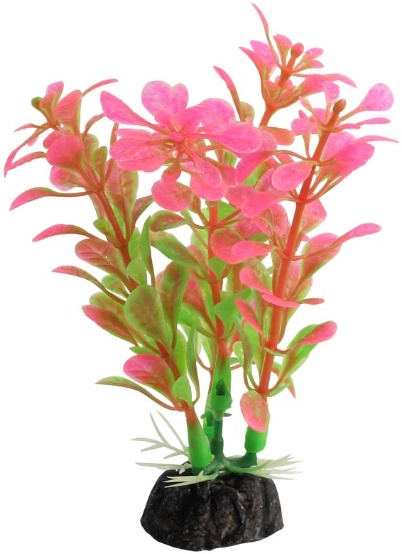Растение 1031LD "Альтернантера" розовая, 100мм , (пакет), Laguna