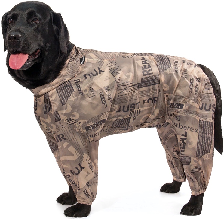 Комбинезон зимний "Лабрадор", 58см