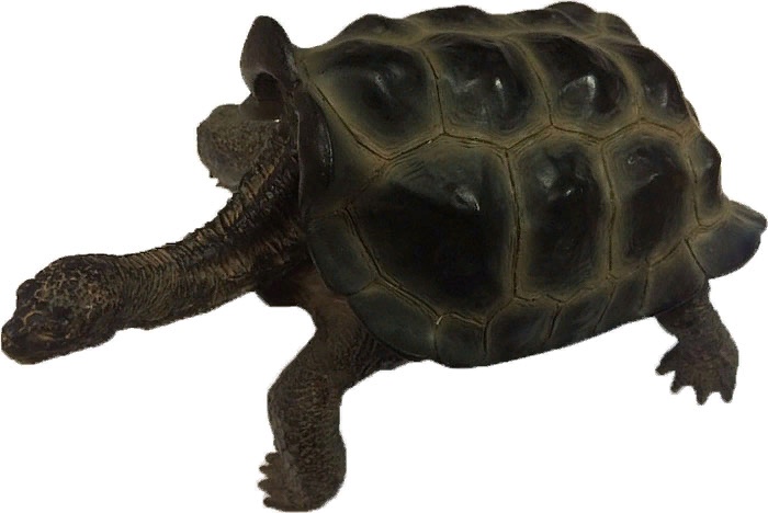 Декорация для аквариума "Галапагосская черепаха большая" 17*11*9.5см