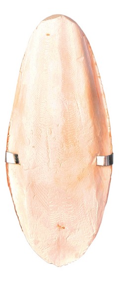 Панцирь каракатицы с держателем для птиц, 16см