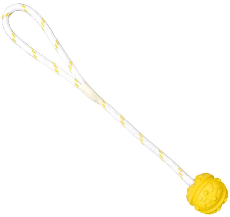 Игрушка для собак Мяч на верёвке, 4,5см