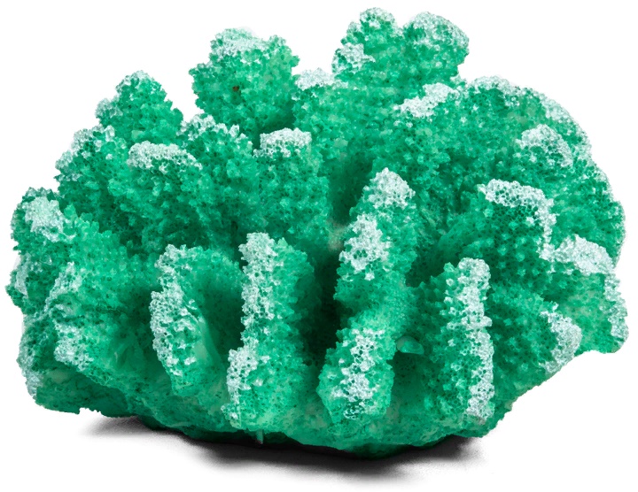 Коралл искусственный "Поциллопора", зеленый, 120*110*65мм