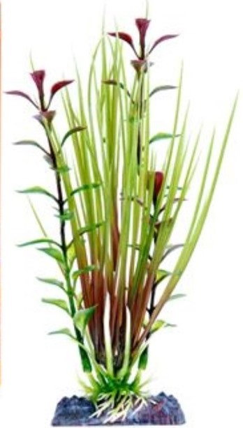 Растение-композиция HAIRGRASS-BLOOMING LUDWIGIA 25см