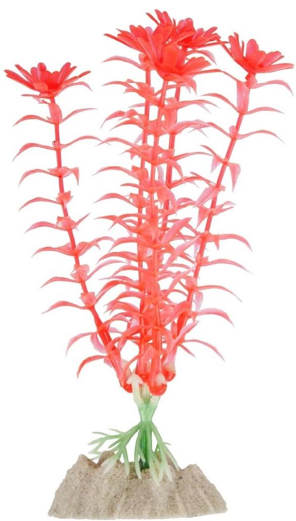 Растение флуоресцирующее GloFish 15см оранжевое/розовое