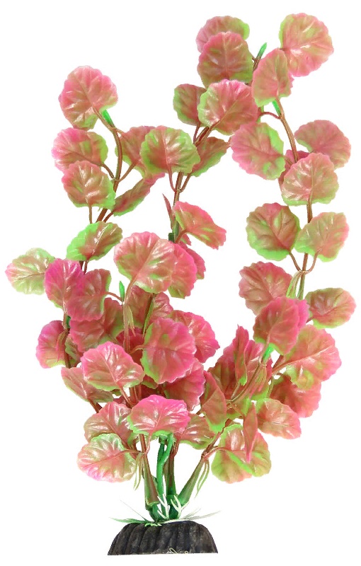 Растение 1035LD "Щитолистник" розово-зеленый, 300мм, (пакет), Laguna