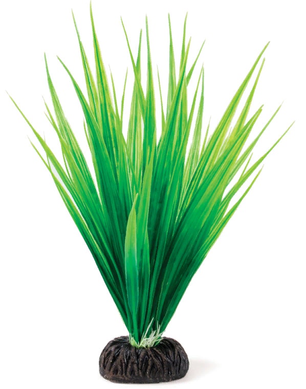 Растение 2562 "Сагиттария" зеленая, 250мм, (пакет)