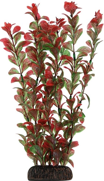 Растение 2952 "Людвигия" красная, 300мм, (пакет), Laguna