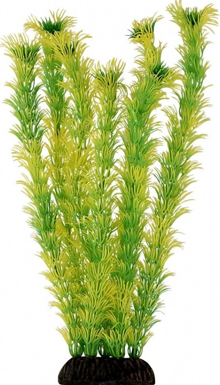 Растение 2956 "Амбулия" жёлто-зеленая, 300мм, (пакет), Laguna
