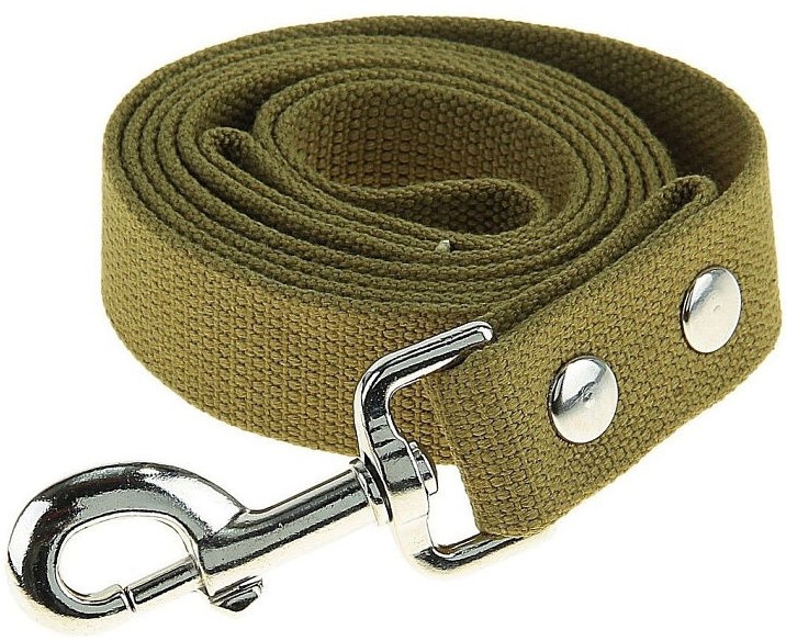 Поводок брезент 25мм/7м гамма