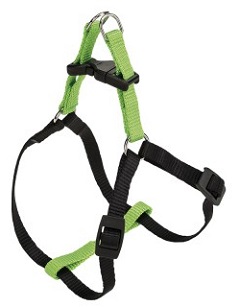 Шлейка EASY COLOURS P LARGE зеленая