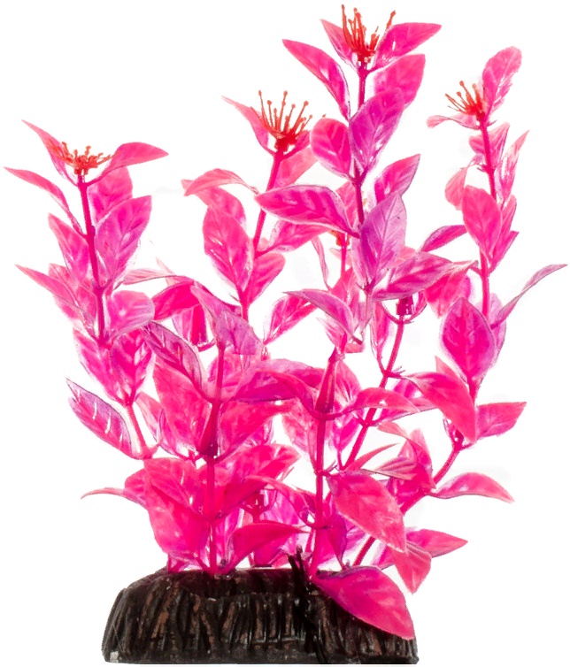 Растение "Людвигия" ярко-розовая, 200мм