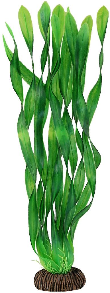 Растение "Валлиснерия" зеленая, 350мм