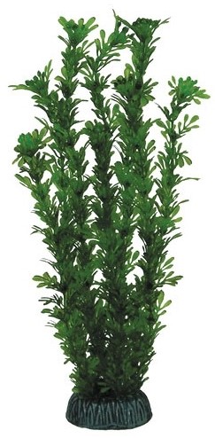 Растение 2961 "Лигодиум" зеленый, 300мм, (пакет), Laguna