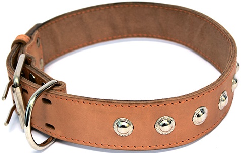 Ошейник кожаный двойной с украшениями, кольцо перед пряжкой ширина 30 мм, обхват шеи от 44 до 53.