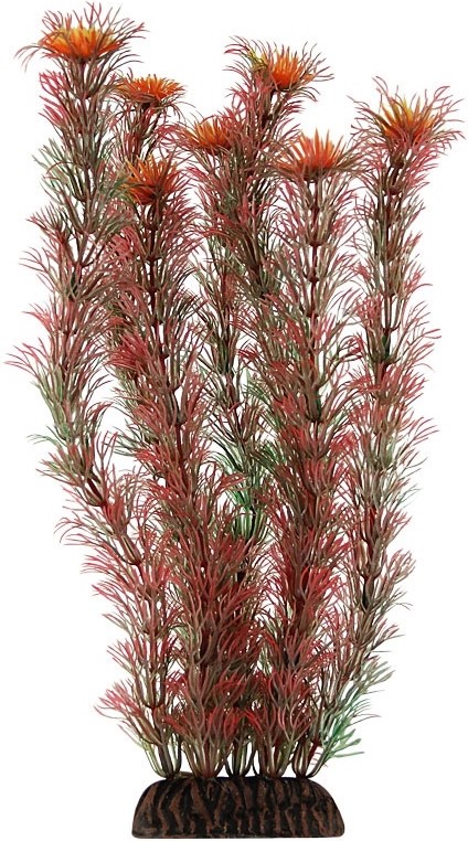Растение 2955 "Амбулия" красная, 290мм, (пакет), Laguna
